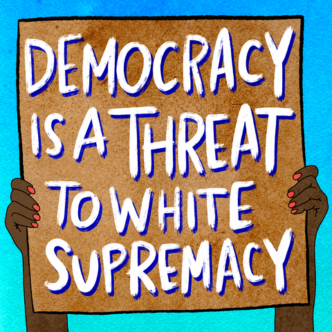 Trump 2024 Democracy Threat To White GIF