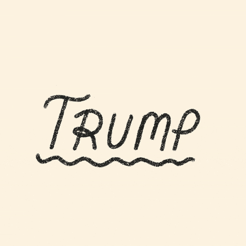 Trump 2024 Erased Name GIF