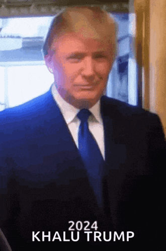Trump 2024 Gif GIF