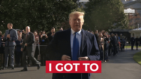 Trump 2024 Go To See Fake News GIF