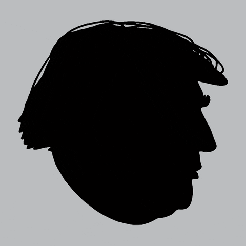 Trump 2024 Indicted Again Head Shadow GIF
