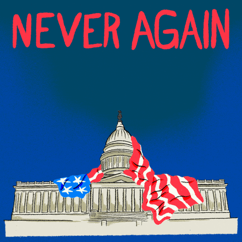 Trump 2024 Never Again 1 6 21 GIF