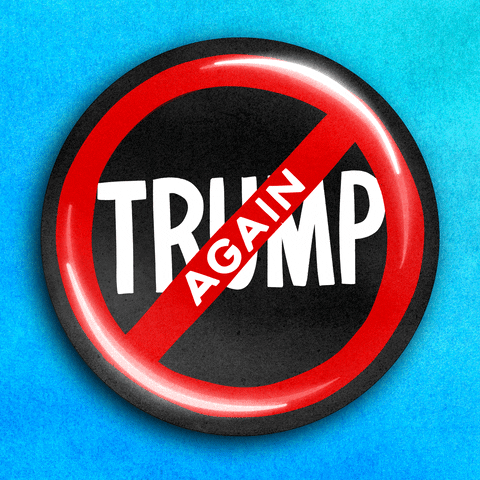 Trump 2024 Never Again Stop GIF
