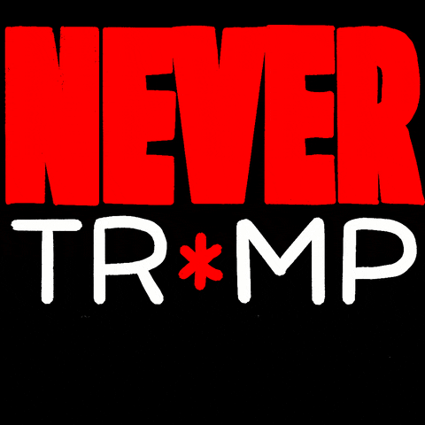 Trump 2024 Never Trump Again GIF