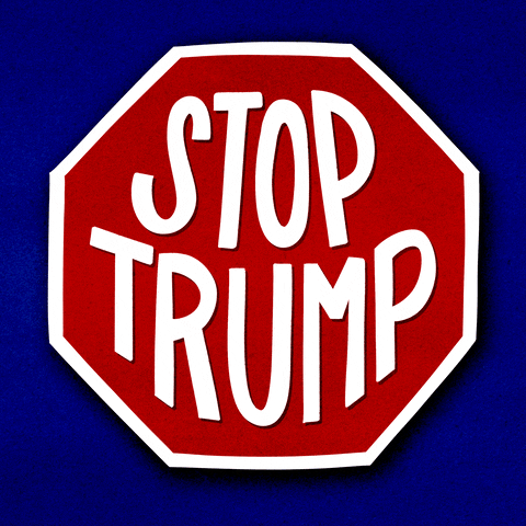 Trump 2024 Stop Trump President GIF