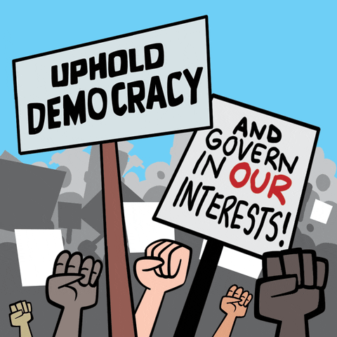 Trump 2024 Uphold Democracy And Govern Interests GIF