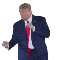 Trump Dance Sticker GIF