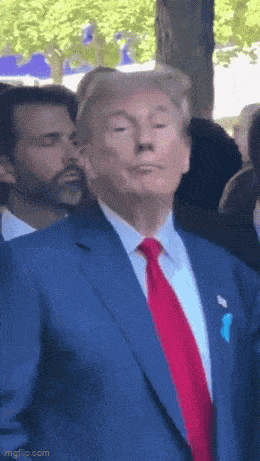 Trump Donald Trump Gif GIF