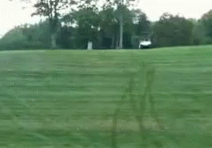 Trump Golf Cart Out Of Control GIF