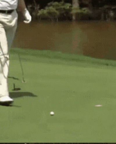 Trump Golf Trump Bending To Get Ball GIF