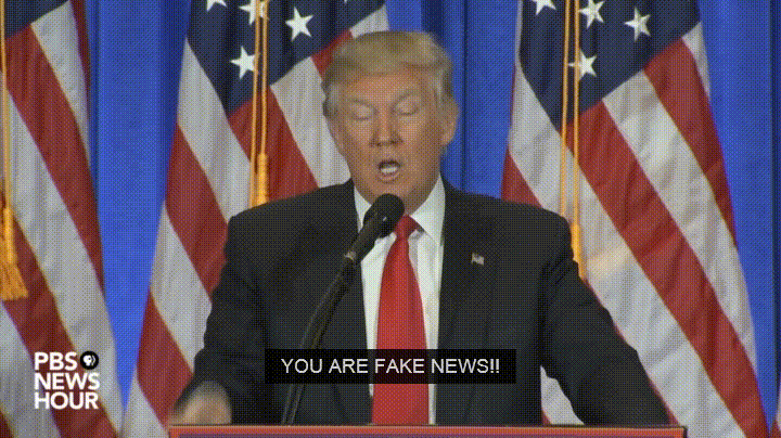 Trump Pointing Media Fake News GIF