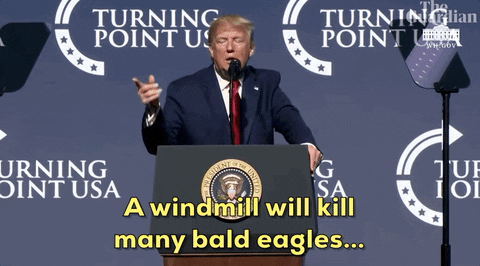 Trump Speech Concerning Bald Eagle GIF