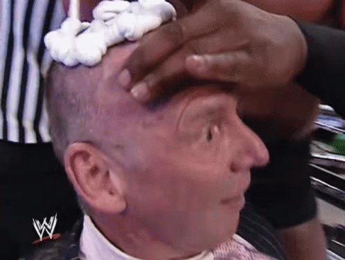 Trump Wwe Put Icing Vince Mcmahon GIF