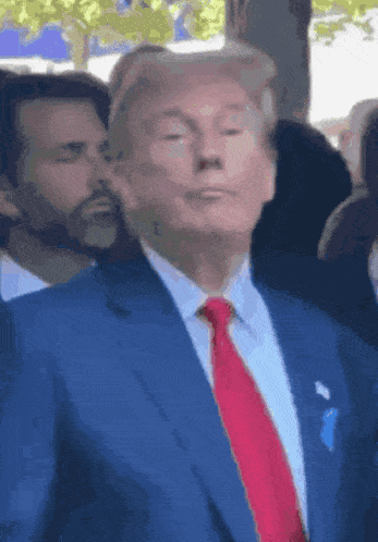 Trumpone Gif GIF