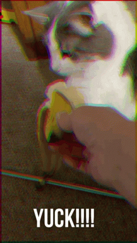 Trying To Avoid Banana Cat Meme GIF