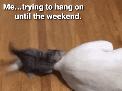 Trying To Hang On Almost The Weekend GIF
