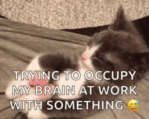 Trying To Occupy My Fried Brain At Work GIF