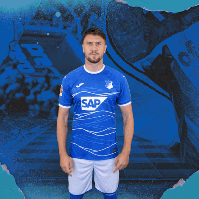 Tsg Hoffenheim Fussball Gif GIF