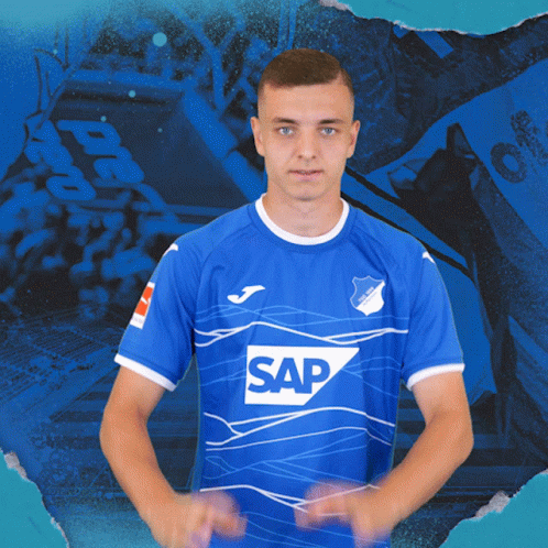 Tsg Hoffenheim Fussball GIF