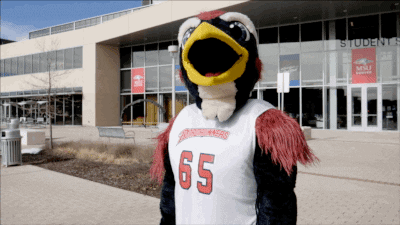 Tsk Tsk Time Already Rowdy The Roadrunner GIF