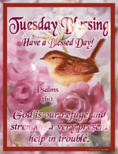 Tuesday Blessing Card With Bird And Roses GIF