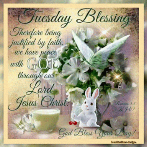 Tuesday Blessing With Flowers and Rabbit