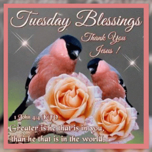 Tuesday Blessings Card With Birds and Roses