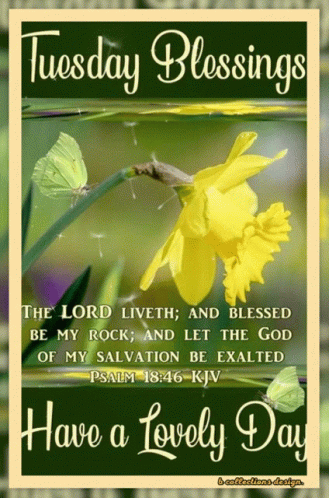 Tuesday Blessings Card with Yellow Flower
