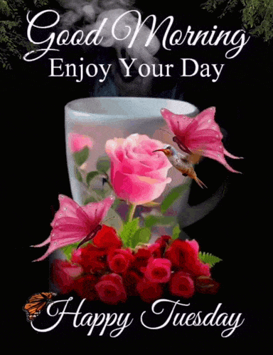 Tuesday Blessings Good Morning Tuesday Gif GIF