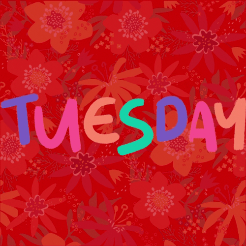 Tuesday Colorful Animation GIF