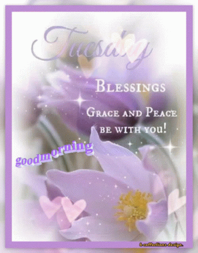 Tuesday Greeting Card Purple Flowers Blessings Grace And Peace Be With You GIF