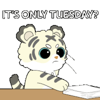 Tuesday Tuesday Mood Sticker GIF