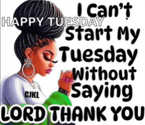 Tuesday Tuesday Morning Meme GIF