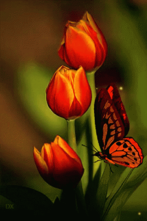 Tulip Flower And Butterfly GIF