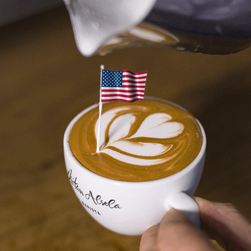 Tulip Latte Usa Flag Art GIF
