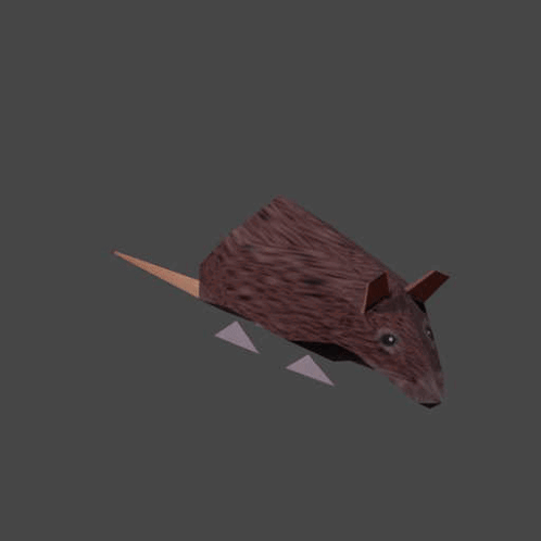 Tumble Spinning Rat Digital Animation GIF