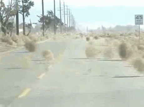 Tumble Weeds Rolling With Dust Storm GIF