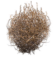 Tumbleweed Spinning GIF