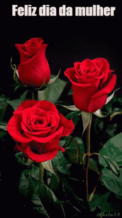 Tumblr Flower Feliz Red Roses GIF