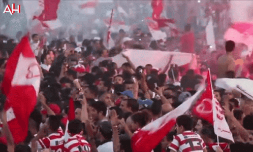 Tunisia Finals Championship Sport GIF