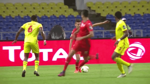 Tunisia Football Game GIF