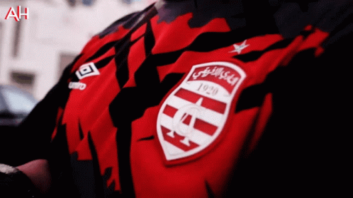 Tunisia Offical Jersey Logo GIF