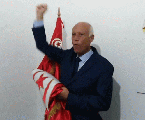 Tunisia President Kaïs Saïed GIF