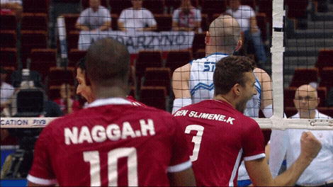 Tunisia Victorious Volleyball Win GIF