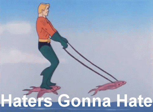 Turbulence Meme Air Haters Gonna Hate GIF