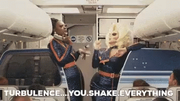 Turbulence Meme You Shake Everything GIF