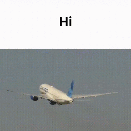 Turbulence Plane Landing GIF
