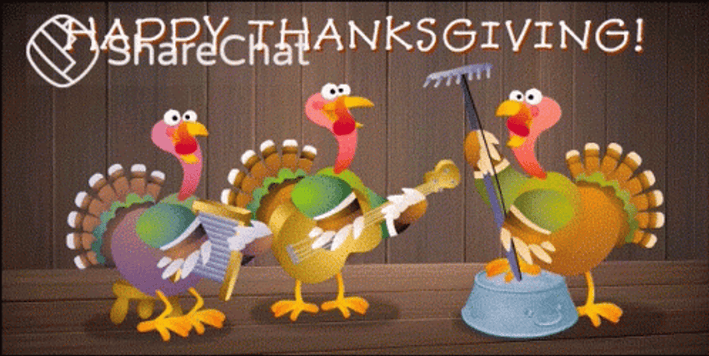 Turkey Band Animated Thanksgiving GIF