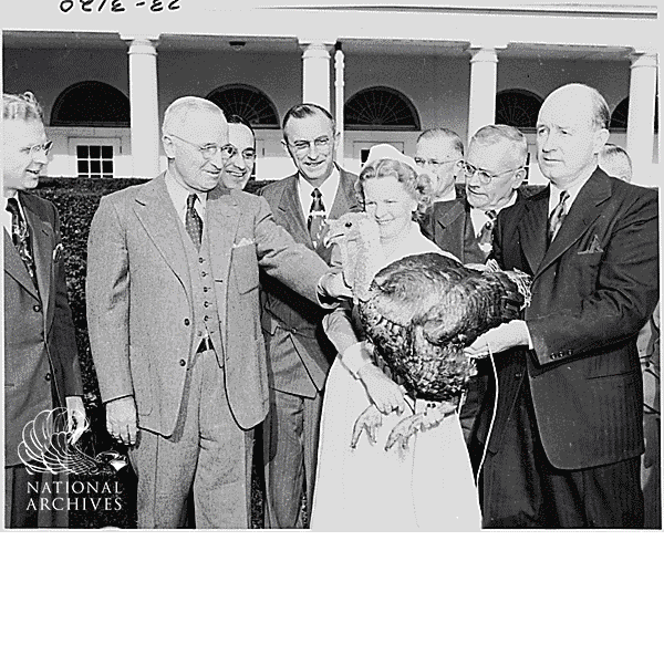 Turkey Celebration Gobble GIF