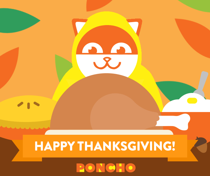 Turkey Day Animated Happy Cat GIF